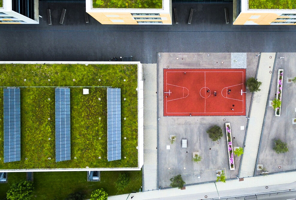 Zelené strechy: Keď sa budovy menia na živé ekosystémy